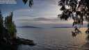 ./images/koeye/fitz-hugh/20250501/fitz-hugh20250501_203008M.jpg