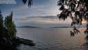 ./images/koeye/fitz-hugh/20250501/fitz-hugh20250501_203508M.jpg