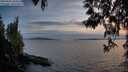 ./images/koeye/fitz-hugh/20250501/fitz-hugh20250501_204009M.jpg