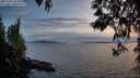 ./images/koeye/fitz-hugh/20250501/fitz-hugh20250501_204508M.jpg