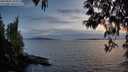 ./images/koeye/fitz-hugh/20250501/fitz-hugh20250501_205009M.jpg