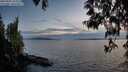 ./images/koeye/fitz-hugh/20250501/fitz-hugh20250501_211009M.jpg