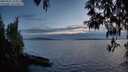 ./images/koeye/fitz-hugh/20250501/fitz-hugh20250501_212009M.jpg