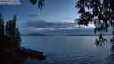 ./images/koeye/fitz-hugh/20250501/fitz-hugh20250501_213009M.jpg
