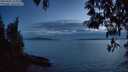 ./images/koeye/fitz-hugh/20250501/fitz-hugh20250501_213507M.jpg