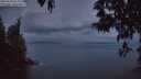 ./images/koeye/fitz-hugh/20250502/fitz-hugh20250502_052009M.jpg