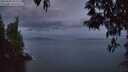 ./images/koeye/fitz-hugh/20250502/fitz-hugh20250502_052508M.jpg