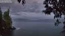 ./images/koeye/fitz-hugh/20250502/fitz-hugh20250502_053008M.jpg