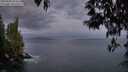 ./images/koeye/fitz-hugh/20250502/fitz-hugh20250502_053509M.jpg