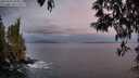 ./images/koeye/fitz-hugh/20250502/fitz-hugh20250502_060008M.jpg