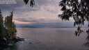 ./images/koeye/fitz-hugh/20250502/fitz-hugh20250502_062010M.jpg