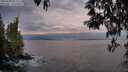 ./images/koeye/fitz-hugh/20250502/fitz-hugh20250502_062510M.jpg