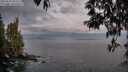 ./images/koeye/fitz-hugh/20250502/fitz-hugh20250502_063509M.jpg