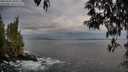 ./images/koeye/fitz-hugh/20250502/fitz-hugh20250502_064510M.jpg