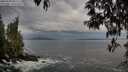 ./images/koeye/fitz-hugh/20250502/fitz-hugh20250502_065509M.jpg