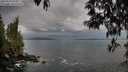 ./images/koeye/fitz-hugh/20250502/fitz-hugh20250502_070011M.jpg