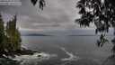 ./images/koeye/fitz-hugh/20250502/fitz-hugh20250502_071010M.jpg