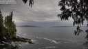 ./images/koeye/fitz-hugh/20250502/fitz-hugh20250502_072509M.jpg