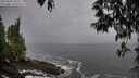 ./images/koeye/fitz-hugh/20250502/fitz-hugh20250502_095008M.jpg