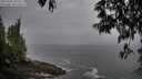 ./images/koeye/fitz-hugh/20250502/fitz-hugh20250502_103510M.jpg