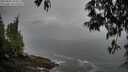 ./images/koeye/fitz-hugh/20250502/fitz-hugh20250502_104510M.jpg
