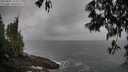 ./images/koeye/fitz-hugh/20250502/fitz-hugh20250502_113510M.jpg