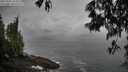 ./images/koeye/fitz-hugh/20250502/fitz-hugh20250502_114511M.jpg