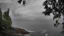 ./images/koeye/fitz-hugh/20250502/fitz-hugh20250502_115510M.jpg