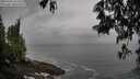 ./images/koeye/fitz-hugh/20250502/fitz-hugh20250502_121010M.jpg