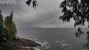 ./images/koeye/fitz-hugh/20250502/fitz-hugh20250502_123509M.jpg