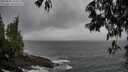./images/koeye/fitz-hugh/20250502/fitz-hugh20250502_133509M.jpg