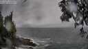 ./images/koeye/fitz-hugh/20250502/fitz-hugh20250502_134507M.jpg