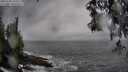 ./images/koeye/fitz-hugh/20250502/fitz-hugh20250502_135510M.jpg