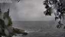 ./images/koeye/fitz-hugh/20250502/fitz-hugh20250502_140011M.jpg