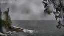 ./images/koeye/fitz-hugh/20250502/fitz-hugh20250502_150510M.jpg