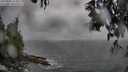 ./images/koeye/fitz-hugh/20250502/fitz-hugh20250502_154009M.jpg