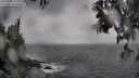 ./images/koeye/fitz-hugh/20250502/fitz-hugh20250502_155010M.jpg