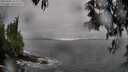 ./images/koeye/fitz-hugh/20250502/fitz-hugh20250502_161511M.jpg