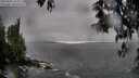 ./images/koeye/fitz-hugh/20250502/fitz-hugh20250502_162510M.jpg