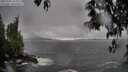 ./images/koeye/fitz-hugh/20250502/fitz-hugh20250502_163510M.jpg
