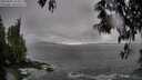 ./images/koeye/fitz-hugh/20250502/fitz-hugh20250502_164009M.jpg