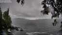 ./images/koeye/fitz-hugh/20250502/fitz-hugh20250502_164510M.jpg