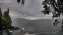 ./images/koeye/fitz-hugh/20250502/fitz-hugh20250502_165010M.jpg