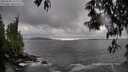 ./images/koeye/fitz-hugh/20250502/fitz-hugh20250502_165510M.jpg