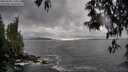 ./images/koeye/fitz-hugh/20250502/fitz-hugh20250502_170008M.jpg