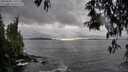 ./images/koeye/fitz-hugh/20250502/fitz-hugh20250502_170510M.jpg