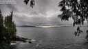./images/koeye/fitz-hugh/20250502/fitz-hugh20250502_171010M.jpg
