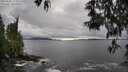 ./images/koeye/fitz-hugh/20250502/fitz-hugh20250502_172011M.jpg