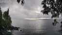 ./images/koeye/fitz-hugh/20250502/fitz-hugh20250502_180012M.jpg