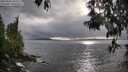 ./images/koeye/fitz-hugh/20250502/fitz-hugh20250502_181009M.jpg